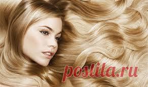 Как остановить выпадение волос?