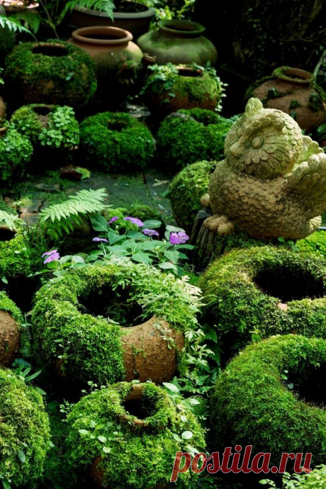 Want to make some DIY Mossy Pots with us? It's a pretty easy project, but very rewarding in a lush, green kind of way. We're going to show you how to make living moss paint, and how to apply this…