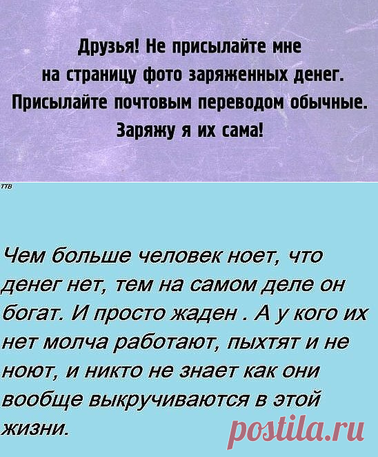 * * * * * * * * * * * *