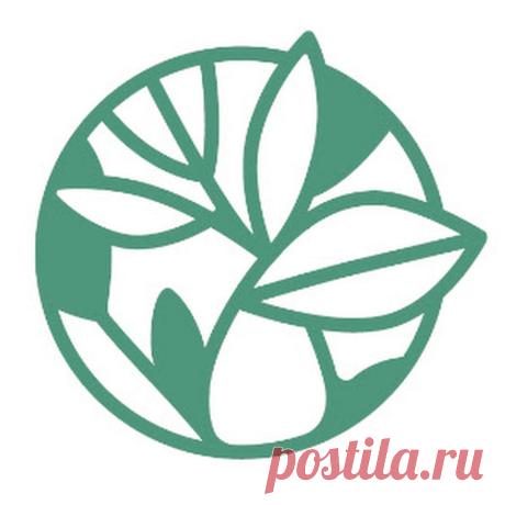 Доктор Жимба (Чжуд-Ши клиника) Чжуд-Ши – клиника тибетской медицины в Москве.
Появилась в 2011 г., когда из Внутренней Монголии в столицу вместе с приемным внуком Жимбой Данзановым переехал буддийский монах, известный врачеватель – Балбар лама.
В клинике мы комбинируем все методы лечения — альтернативную и традиционную медицину, а также не  отрицаем достижения западной медицины. Поэтому у наших врачей есть и западное медицинское образование. Но главное — мы лечим не болезн...