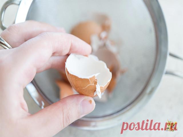 Кулинарные хитрости. 16 хитростей для домохозяек.