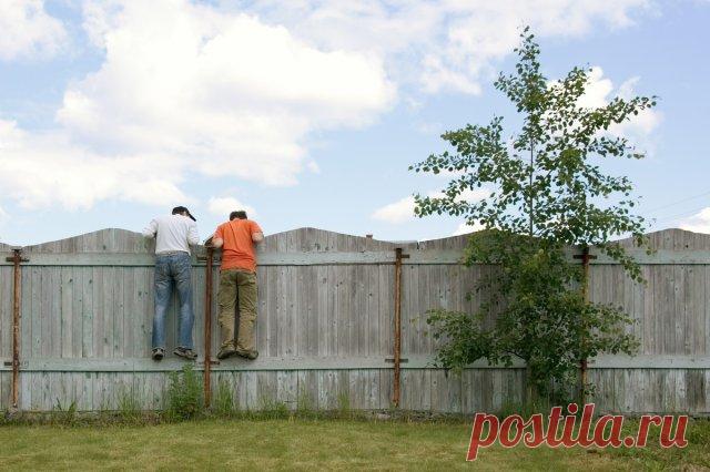 Топ-7 причин для плохих отношений с соседями | Новости (Огород.ru)