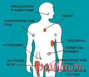 Лучшее из лучшего!