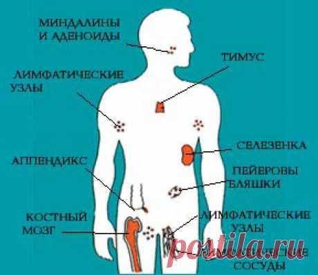 Лучшее из лучшего!