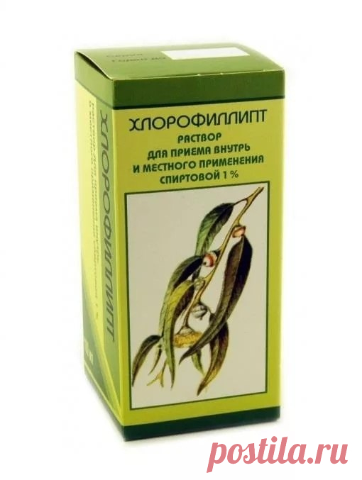 Раствор «Хлорофиллипта» — от ангины до грибка стопы!

В детстве практически каждая моя простуда затягивалась на две недели или заканчивалась больницей. А сколько было съедено антибиотиков… Поликлиники, процедуры, промывка миндалин, уколы и ежедневные полоскания — так проходило мое детство.
С возрастом проблема не ушла. И свекровь, наблюдая за моими утренними ритуалами в период простуды, принесла бутылочку изумрудного раствора: «Попробуй, за 3 дня поправишься». И действител...