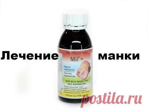 Лечение Ихтиофтириоза ( манка ) - YouTube