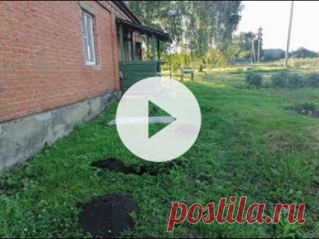 Как поймать крота Самый эффективный способ Работает на 100% (How to catch a mole)