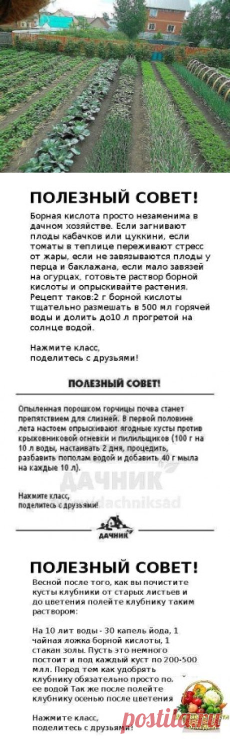 (54) Одноклассники