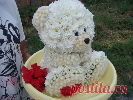 (23) Одноклассники