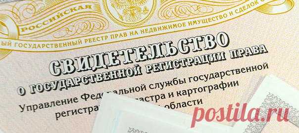Например, сроки будут увеличены, но процедура упростится. Все подробности - по ссылке