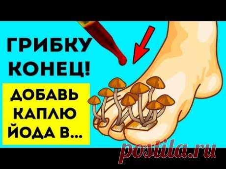 ТИХИЙ УБИЙЦА! Грибок-убийца захватывает мир. О нём знают уже много лет!