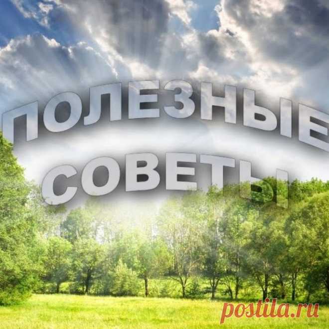 Полезные советы на все случаи жизни Как удалить надоевшие ржавые пятна в раковине и ванне, как избавиться от запаха масляной краски и куда можно деть воду после варки овощей?