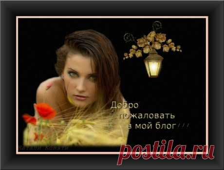 Приветствие