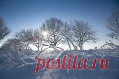 14 февраля отмечается 