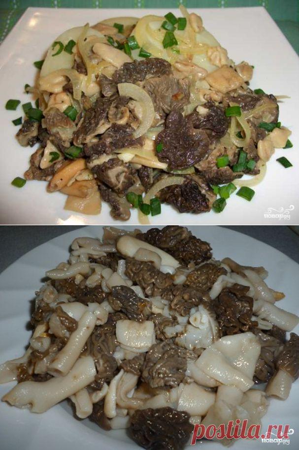 Жареные сморчки - пошаговый кулинарный рецепт на Повар.ру