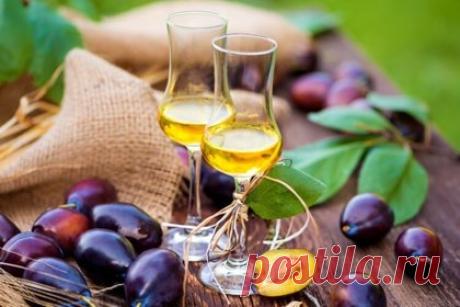 Сливовый ликер на водке, коньяке, джине и роме