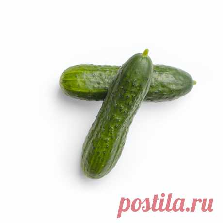 Что такое нимфомания и что с ней делать? Разбираемся в проблема | Нано ИПО