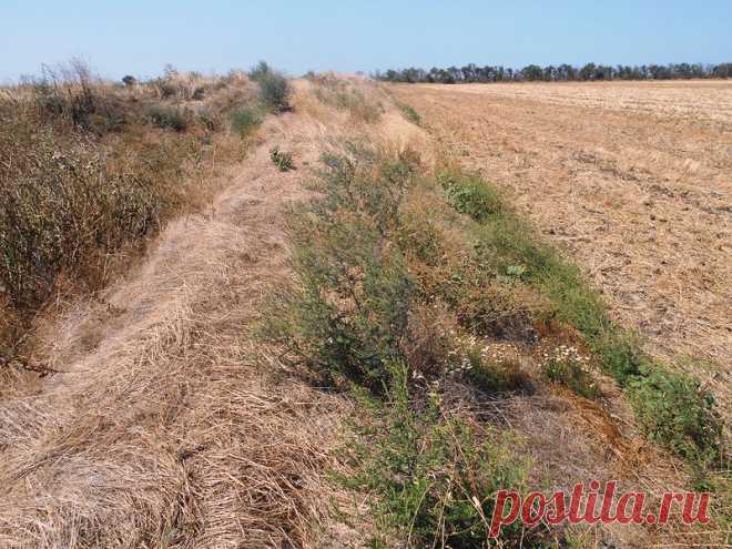 На Солце спицами блистая, тропою резво велоконь катил - 30 Августа 2016 - Персональный сайт