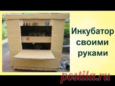 ИНКУБАТОР СВОИМИ РУКАМИ. Простой Надежный ИНКУБАТОР для ЯИЦ из КАРТОННОЙ КОРОБКИ.