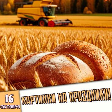 🎉 Праздники которые отмечают в России и мире 16 Октября 2026 года (16.10.26 пятница)

✅ Всемирный день хлеба
✅ День шефа (босса)
✅ День анестезиолога
✅ Всемирный день здорового питания
✅ День врача аллерголога
✅ День недотрог