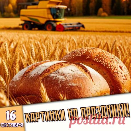 🎉 Праздники которые отмечают в России и мире 16 Октября 2026 года (16.10.26 пятница)

✅ Всемирный день хлеба
✅ День шефа (босса)
✅ День анестезиолога
✅ Всемирный день здорового питания
✅ День врача аллерголога
✅ День недотрог