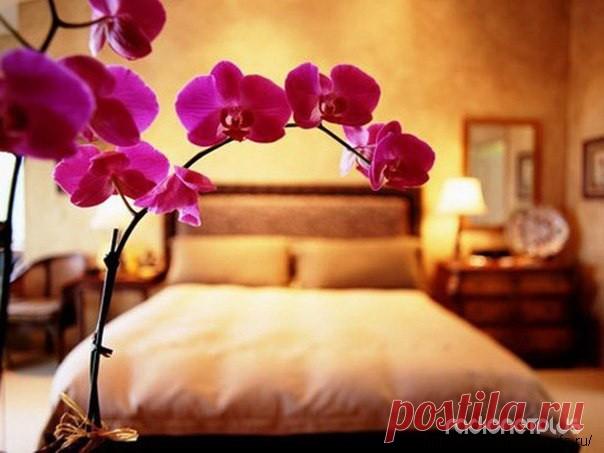 Спальня по фэн-шуй