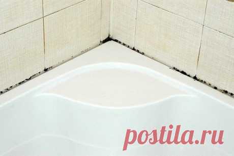 Как избавиться от плесени и грязных швов между плиткой | Naget.Ru