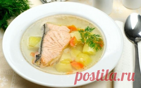 Домашняя уха с водкой — Вкусные рецепты