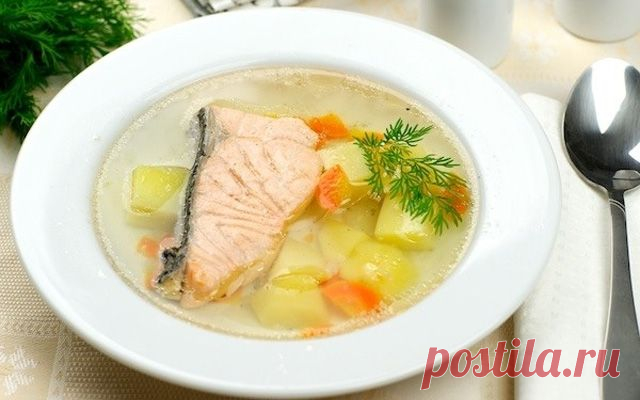 Домашняя уха с водкой — Вкусные рецепты