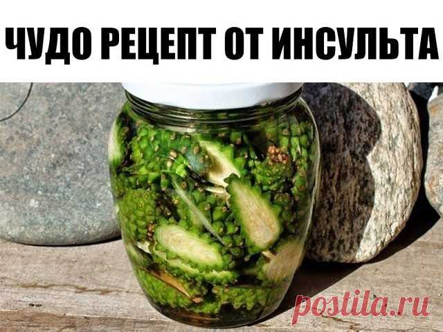 Сосновые шишки спасут от инсульта
