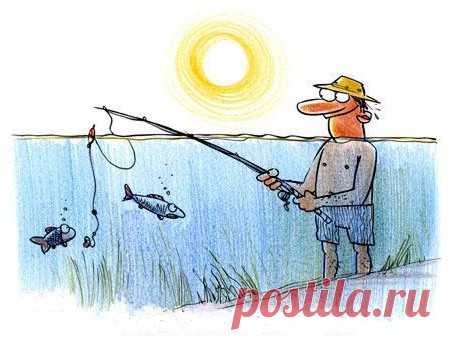 Клев рыбы в летнюю жару