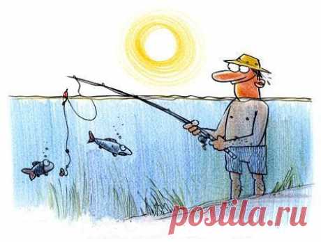 Клев рыбы в летнюю жару