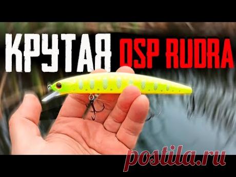 🔴 ЛОВЛЯ ЩУКИ на ЛУЧШИЙ ВОБЛЕР для осени  - OSP RUDRA!!! 🔥🔥🔥
