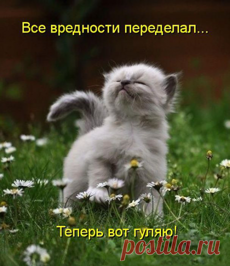 Красавец! :)