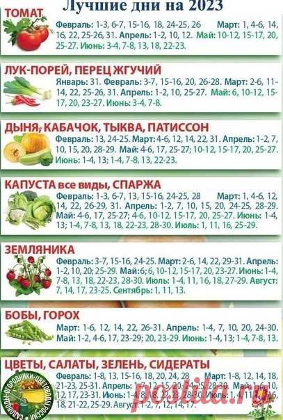 Пригодится всем