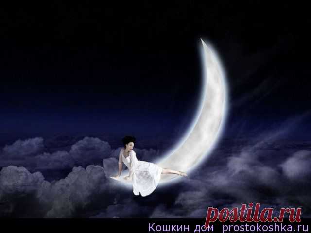 Лунный календарь здоровья, питания и операций на январь 2015
С нового года многие решают начать совершенно новую для себя жизнь, например, переходят на правильный образ жизни, записываются на спортивные занятия или меняют свои привычки питания. Главное в этом деле - правильная мотивация, которая может быть основана на сохранении здоровья и красоты.