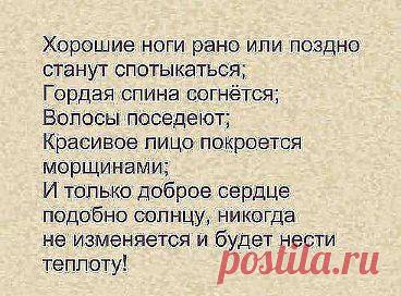 Einsamer Wolf 3: Surf Rider