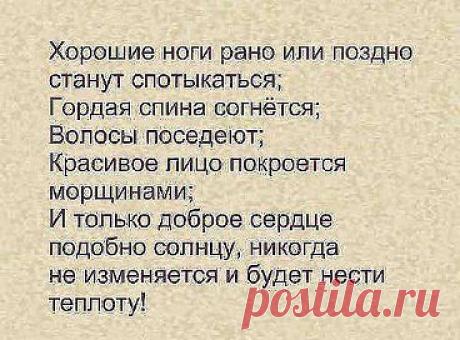 Einsamer Wolf 3: Surf Rider