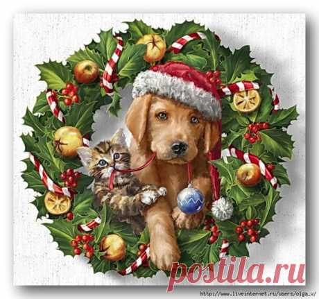 (6) Pinterest