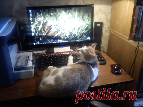 Не мешайте работать.