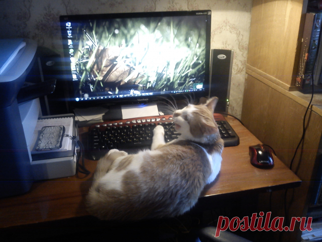 Не мешайте работать.