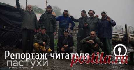 Видеоистория о жизни грузинских пастухов