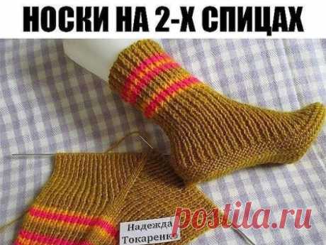 Носочки вяжутся на двух спицах.                                                                                    Набрала 49 петель на спицы №3. Провязала 30 рядов резинкой 1 на 1. Нашла среднюю петлю (25-ая), отметила её цветной нитью.  
 
В каждом лицевом ряду из этой петли вывязывала 5 петель (лиц, накид, лиц, накид, лицевая). Изнаночные ряды вязала как смотрит вязка. Когда на спице связалось