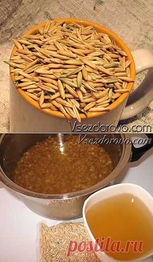 Овес &#8212; волшебное зёрнышко!