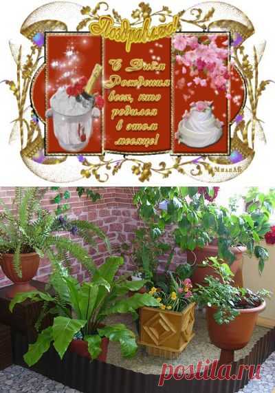 НОВЫЕ СЕКРЕТЫ ЦВЕТОЧНОЙ МАГИИ.. | Познавательный сайт ,,1000 мелочей"