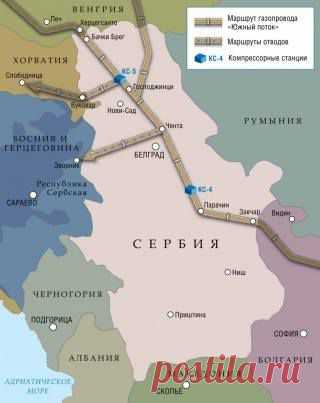 (8) Болотова Светлана
