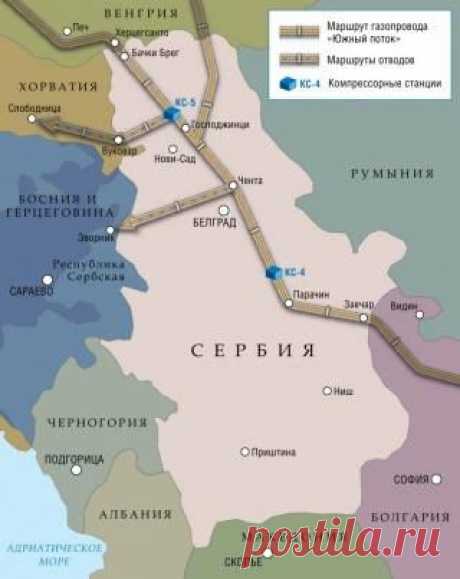 (8) Болотова Светлана