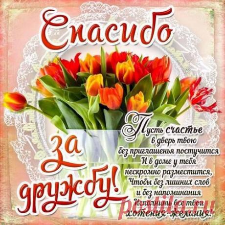 228909455.jpg (500×500)