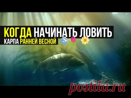 КОГДА начинать ЛОВИТЬ КАРПА ранней ВЕСНОЙ ❓ СОВЕТЫ по ЛОВЛЕ в ХОЛОДНОЙ ВОДЕ!