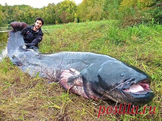Вот это Рыбалка !!! Если не трудно нажмите КЛАСС !!!
